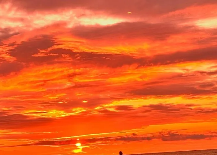 Garden & Chill Appartement